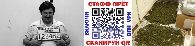 МЕФ Волоколамск
