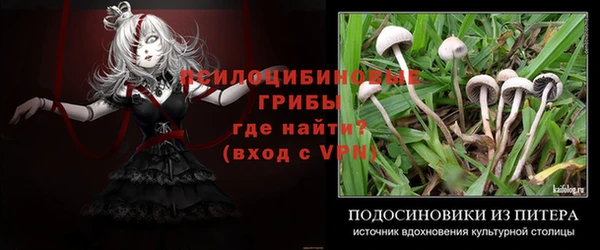 хмурый Волосово